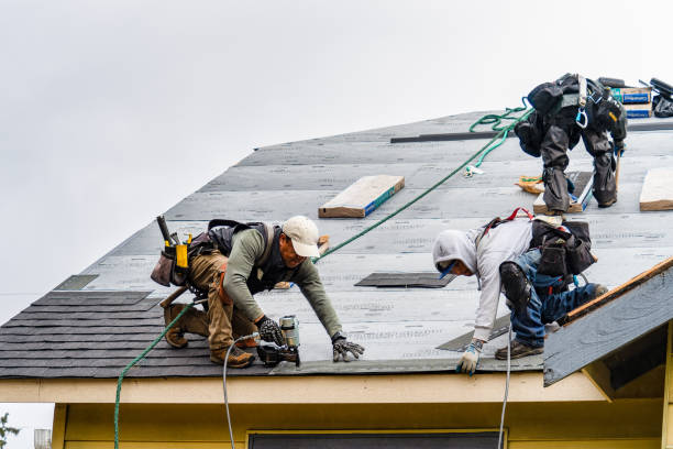 Professional Storm Damage Roof Repair technician working in Trinity, TX